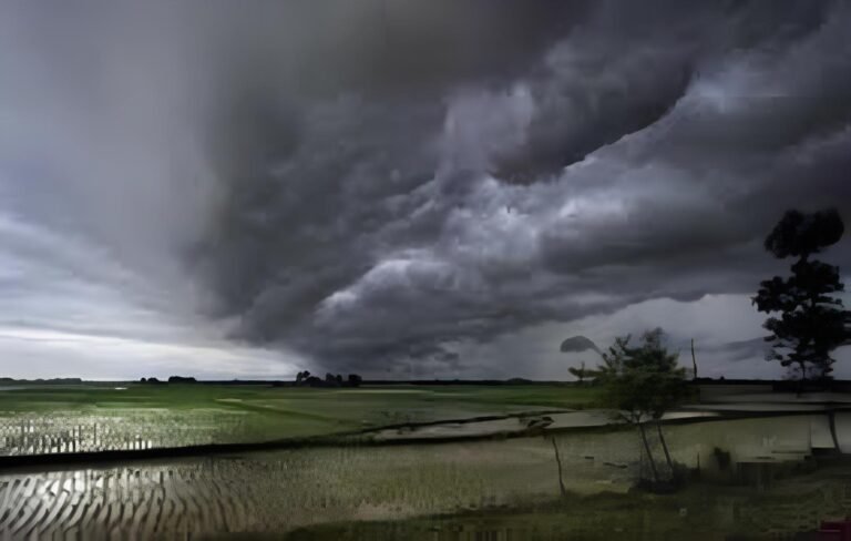Bihar Weather Alert: बिहार में मौसम की हलचल, इन 5 जिलों में बारिश का अलर्ट